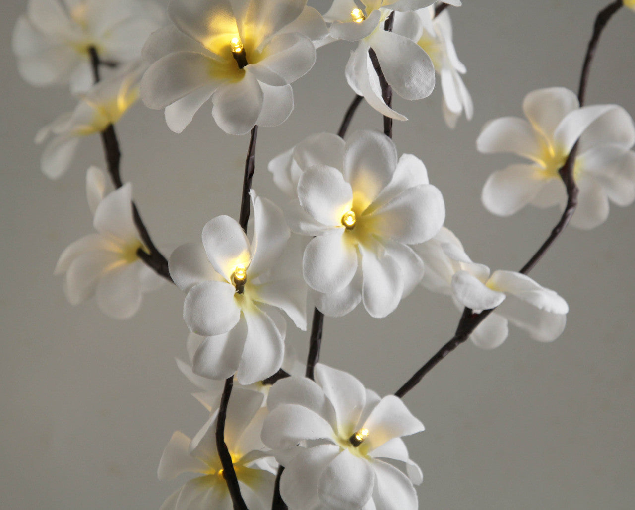 50cm high LED White Frangipani Tree Branch Fairy Light with 20 flowers, perfect for indoor and outdoor decoration.